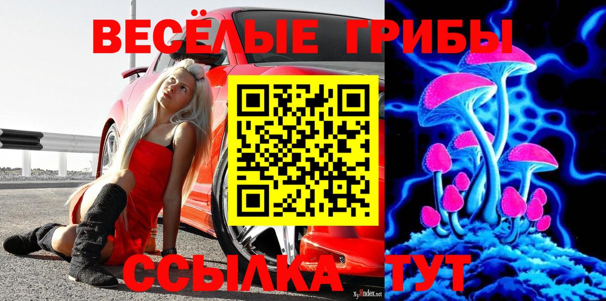Псилоцибиновые грибы мицелий Братск