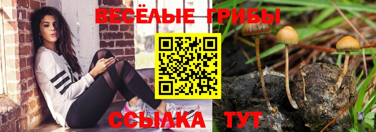 Галлюциногенные грибы GOLDEN TEACHER  Вход с VPN  Братск 