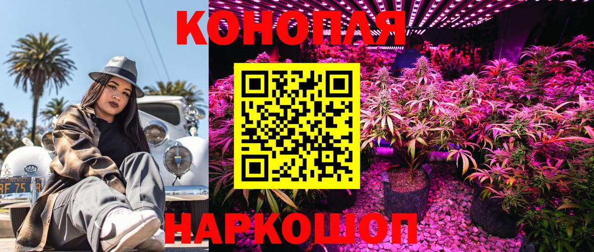 Бошки марихуана семена  Канабис Ganja  Братск  Вход с VPN  Канабис планчик 